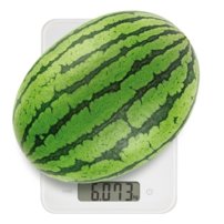 Tescoma - Digitálna kuchynská váha ACCURA15.0 kg